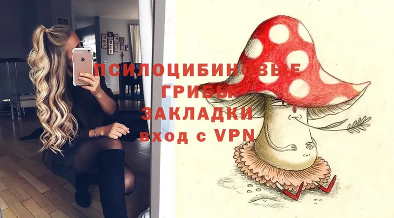 сайты даркнета клад  кракен как зайти  Галлюциногенные грибы Psilocybe  Анива  дарнет шоп 